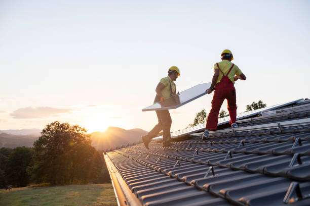 Best Skylight Installation and Repair  in Tarpon Springs, FL